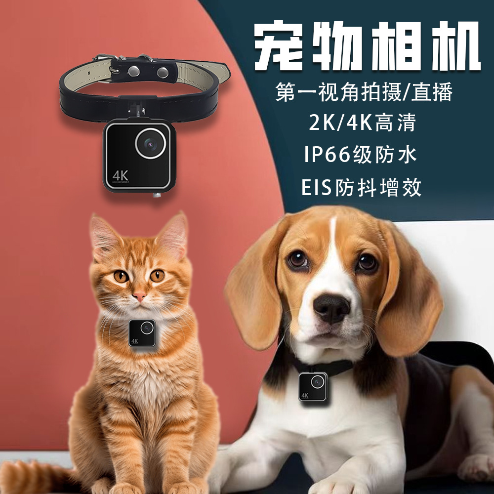 Cámara inteligente para mascot - Cameras reseña y precio